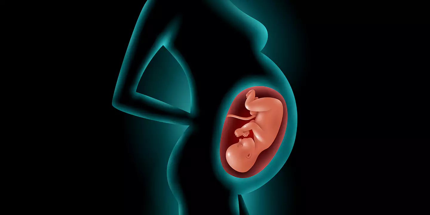 आश्चर्यजनक चीजें जो अजन्मे बच्चे आमतौर पर गर्भ में करते हैं