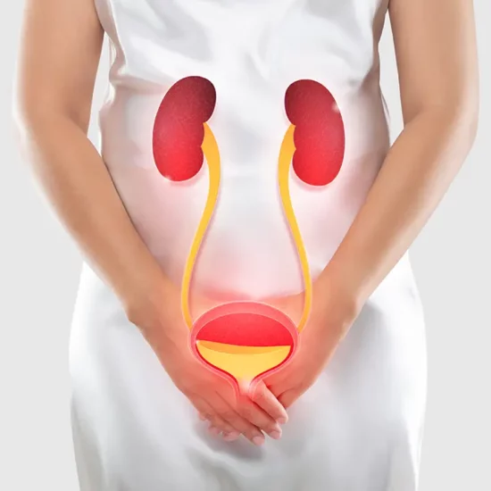 Urinary Tract Infection (UTI)